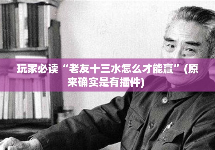 玩家必读“老友十三水怎么才能赢”(原来确实是有插件) 