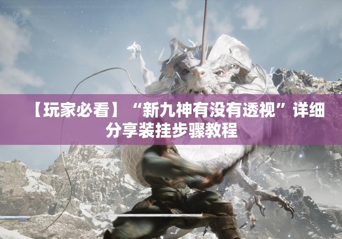 【玩家必看】“新九神有没有透视”详细分享装挂步骤教程
