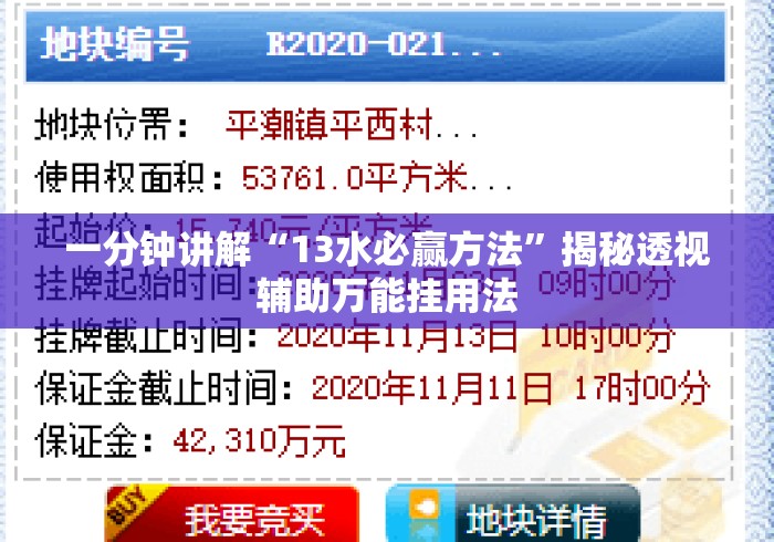 一分钟讲解“13水必赢方法”揭秘透视辅助万能挂用法