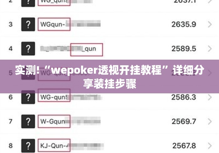 实测!“wepoker透视开挂教程”详细分享装挂步骤