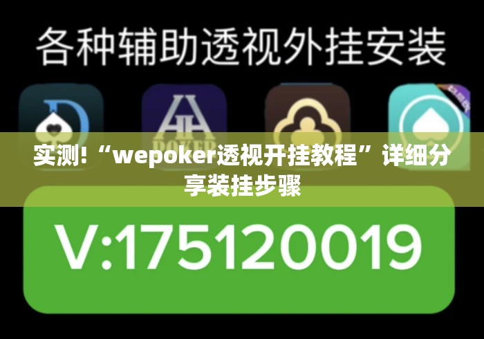 实测!“wepoker透视开挂教程”详细分享装挂步骤
