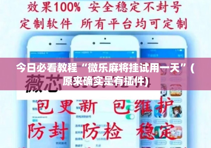 今日必看教程“微乐麻将挂试用一天	”(原来确实是有插件)