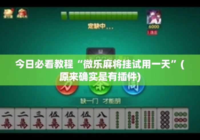 今日必看教程“微乐麻将挂试用一天	”(原来确实是有插件)