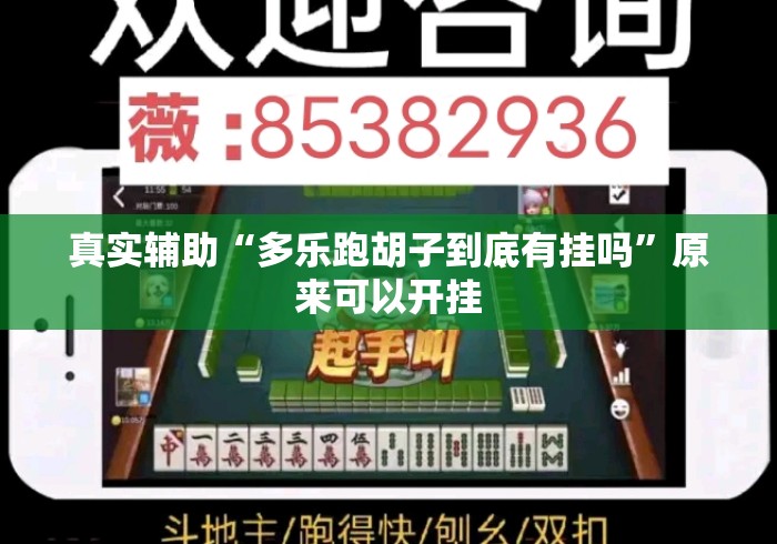 真实辅助“多乐跑胡子到底有挂吗”原来可以开挂