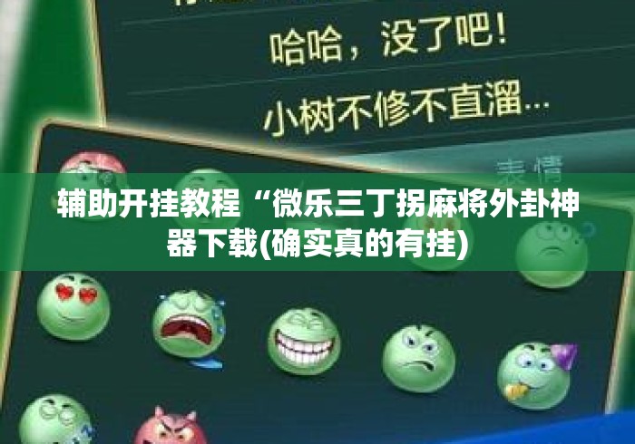 辅助开挂教程“微乐三丁拐麻将外卦神器下载(确实真的有挂)