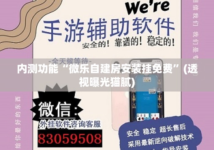 内测功能“微乐自建房安装挂免费”(透视曝光猫腻)