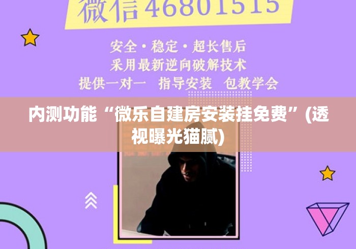 内测功能“微乐自建房安装挂免费”(透视曝光猫腻)