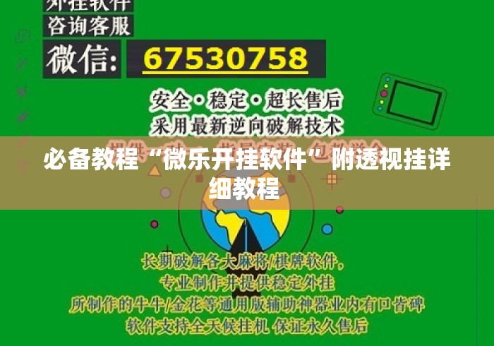 必备教程“微乐开挂软件	”附透视挂详细教程 