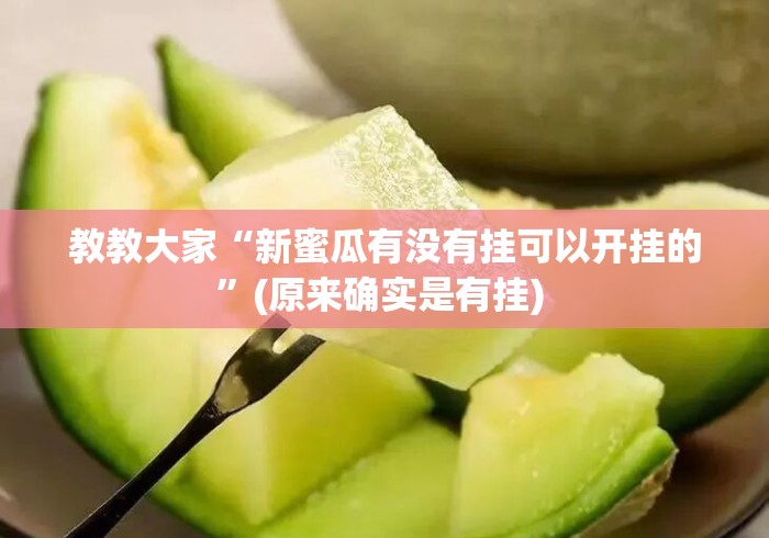 教教大家“新蜜瓜有没有挂可以开挂的”(原来确实是有挂) 
