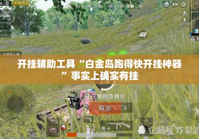 开挂辅助工具“白金岛跑得快开挂神器”事实上确实有挂
