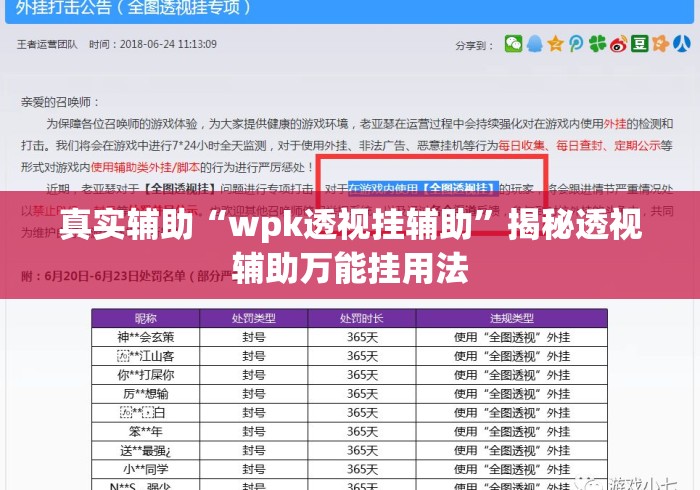 真实辅助“wpk透视挂辅助”揭秘透视辅助万能挂用法