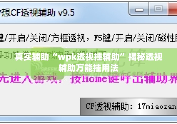 真实辅助“wpk透视挂辅助”揭秘透视辅助万能挂用法