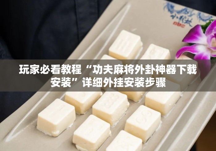玩家必看教程“功夫麻将外卦神器下载安装	”详细外挂安装步骤