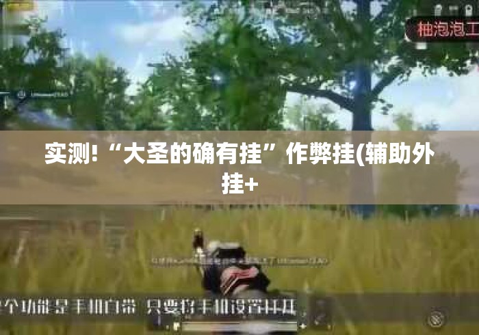 实测!“大圣的确有挂”作弊挂(辅助外挂+