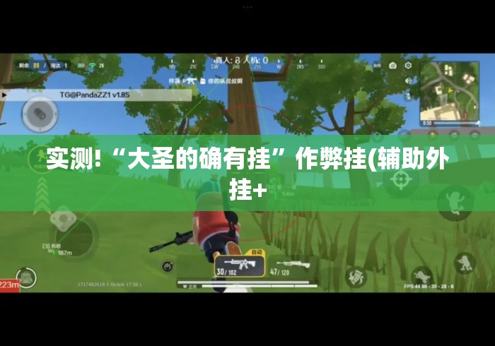 实测!“大圣的确有挂	”作弊挂(辅助外挂+