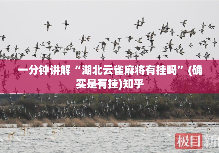 一分钟讲解“湖北云雀麻将有挂吗”(确实是有挂)知乎
