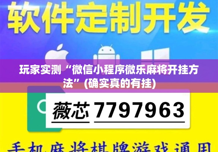玩家实测“微信小程序微乐麻将开挂方法	”(确实真的有挂)