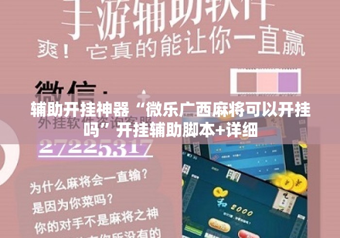 辅助开挂神器“微乐广西麻将可以开挂吗”开挂辅助脚本+详细