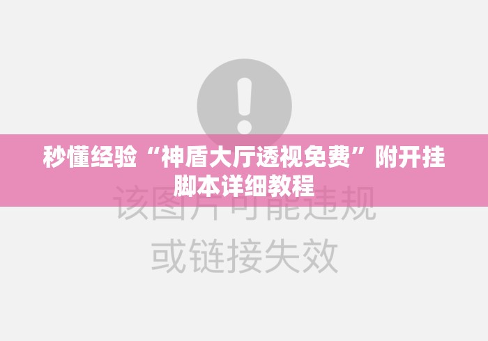 秒懂经验“神盾大厅透视免费”附开挂脚本详细教程