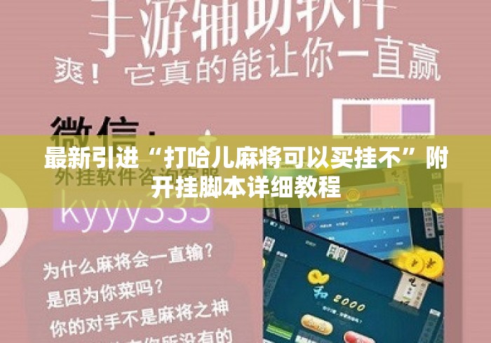 最新引进“打哈儿麻将可以买挂不”附开挂脚本详细教程