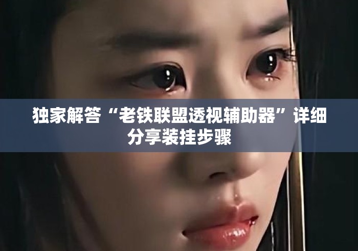 独家解答“老铁联盟透视辅助器”详细分享装挂步骤