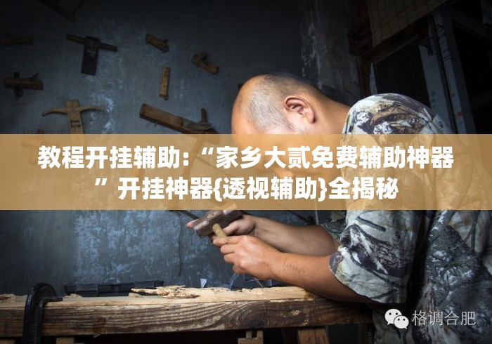 教程开挂辅助:“家乡大贰免费辅助神器”开挂神器{透视辅助}全揭秘